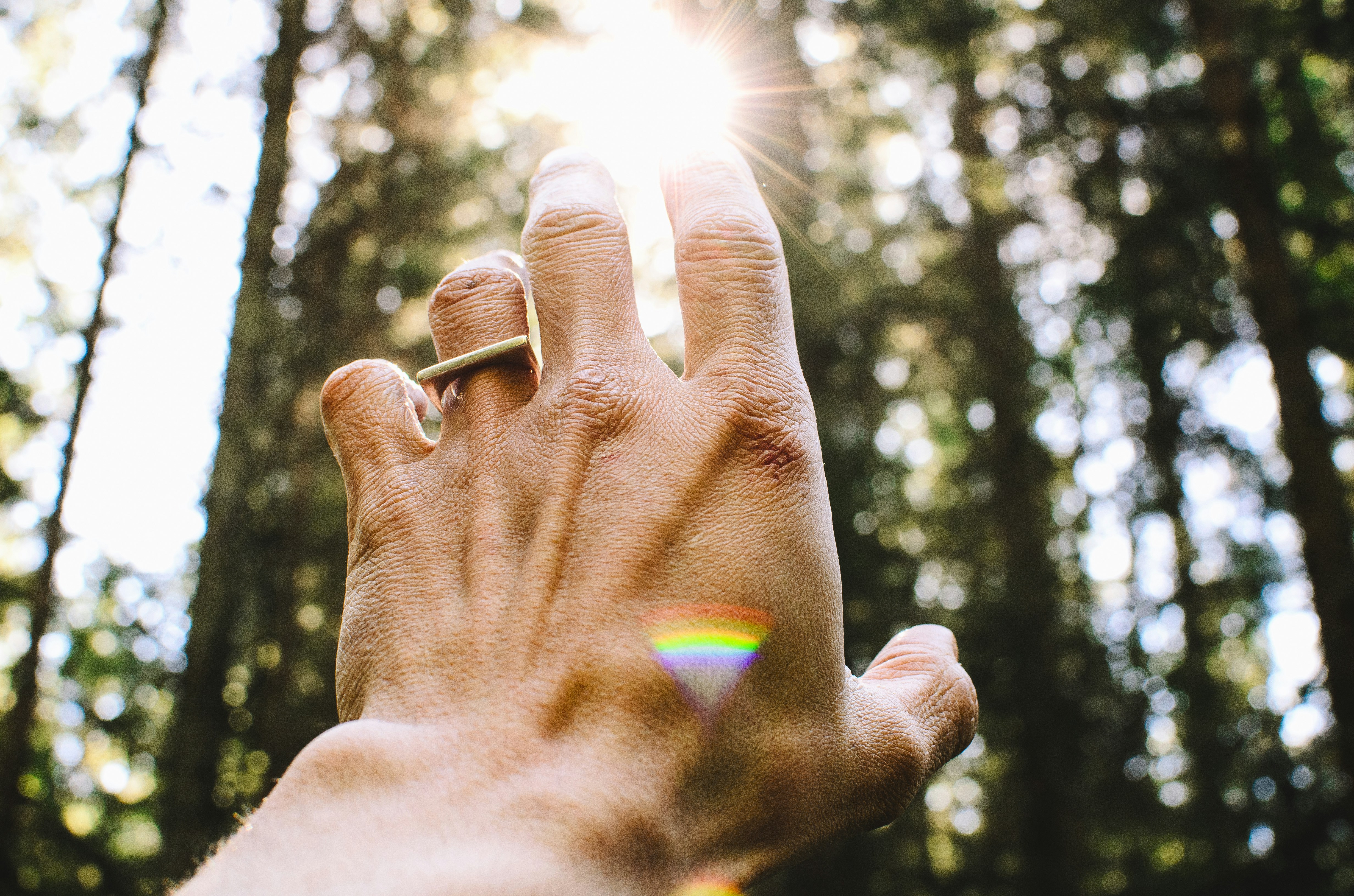 A hand reaching toward light
